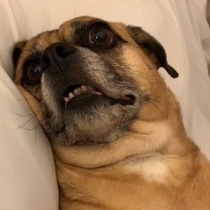 Meet your Posher, Jackie